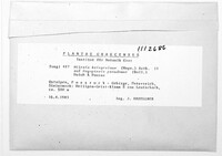 Milesina kriegeriana image